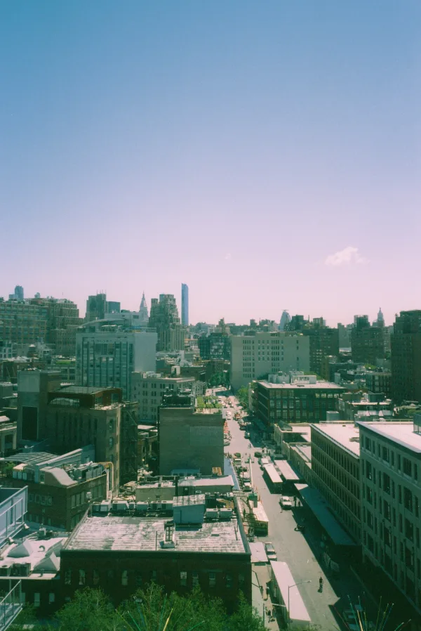 whitney, chelsea